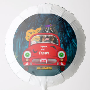 Bernese Mountain Dog Driving Car Scary Halloween Balloon