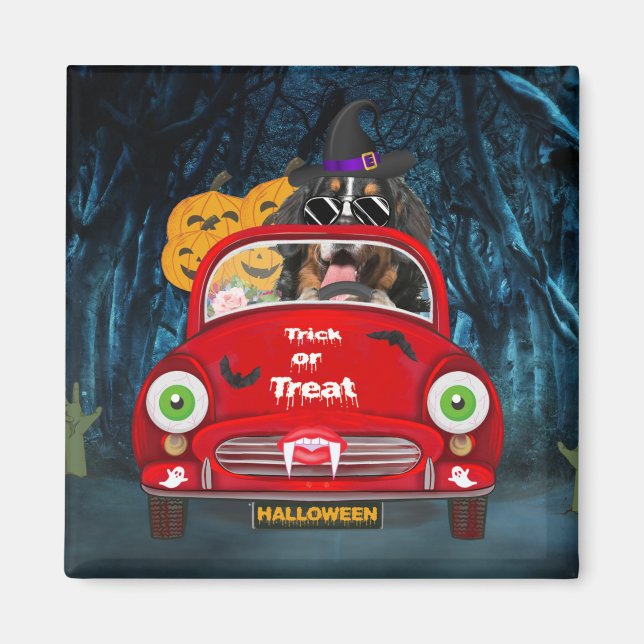 Bernese Mountain Dog Driving Car Scary Halloween  Magnet (Front)
