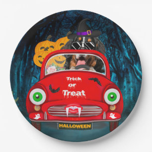 Bernese Mountain Dog Driving Car Scary Halloween Paper Plates