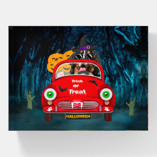 Bernese Mountain Dog Driving Car Scary Halloween  Paperweight