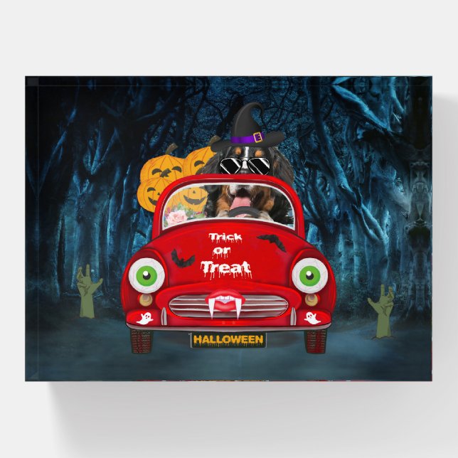 Bernese Mountain Dog Driving Car Scary Halloween  Paperweight (Front)