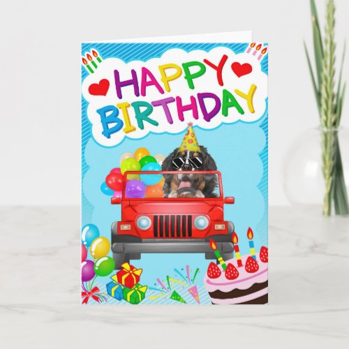 Bernese Mountain Dog Driving with Balloons Card