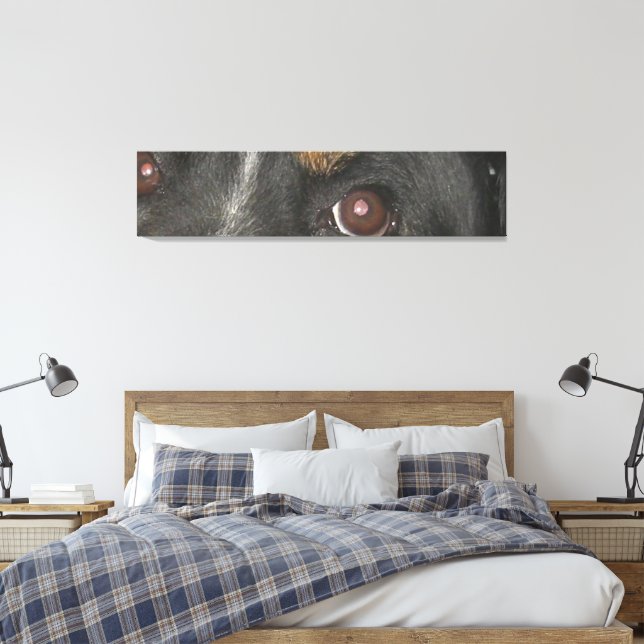 Bernese Mountain Dog Eyes Canvas Print (Insitu(Bedroom))