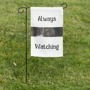 Bernese Mountain Dog Eyes Garden Flag