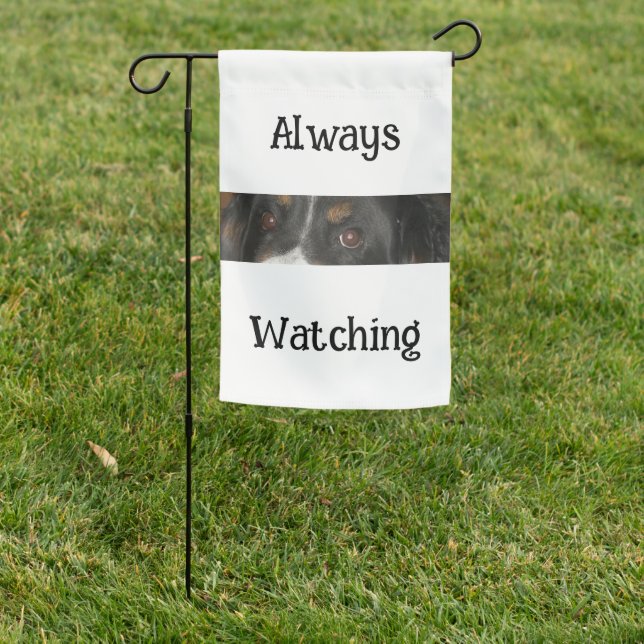 Bernese Mountain Dog Eyes Garden Flag (In SItu)