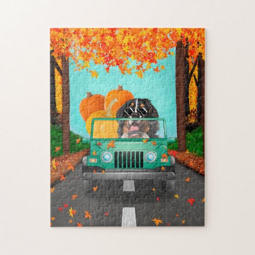 Bernese Mountain Dog Fall Pumpkin Jigsaw Puzzle