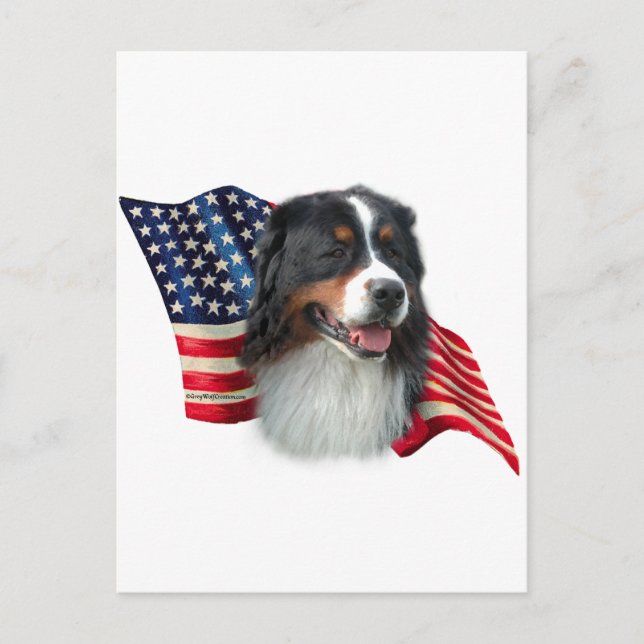Bernese Mountain Dog Flag Postcard (Front)