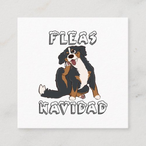 Bernese Mountain Dog Fleas Navidad Christmas Square Business Card