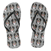 Bernese Mountain Dog 
