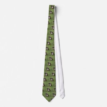 Bernese Mountain Dog Full.png Neck Tie by BreakoutTees at Zazzle