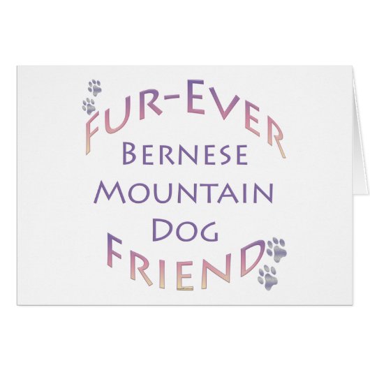 Bernese Mountain Dog Furever Cards (Front Horizontal)