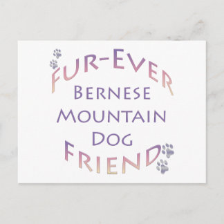 Bernese Mountain Dog Furever Postcard