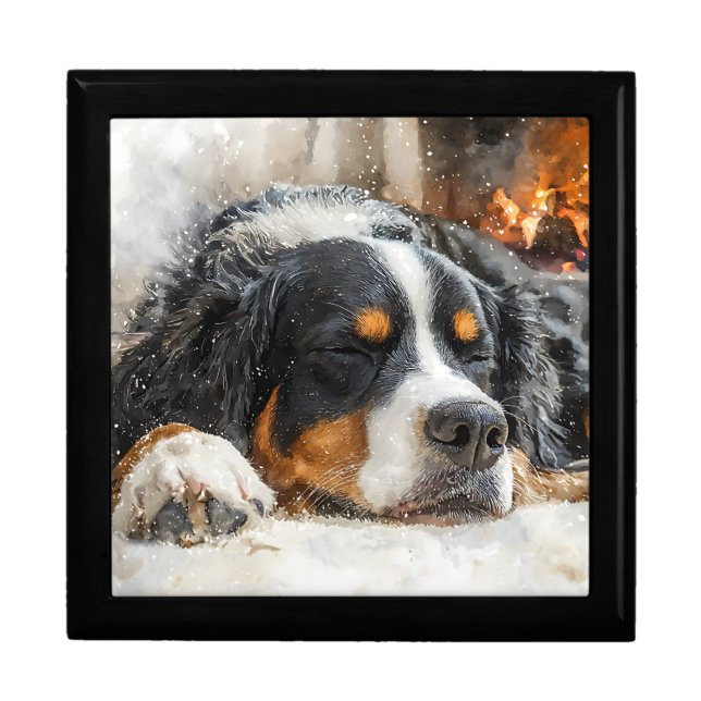 Bernese Mountain Dog Gift Box (Front)