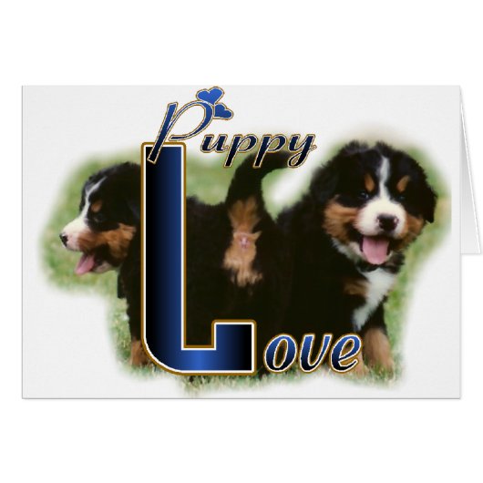 Bernese Mountain Dog Gifts Cards (Front Horizontal)