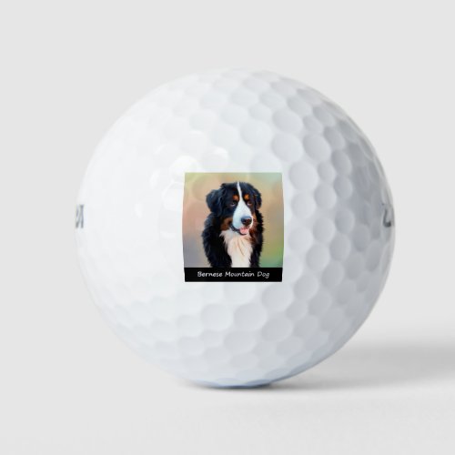 Bernese Mountain Dog Golf Balls