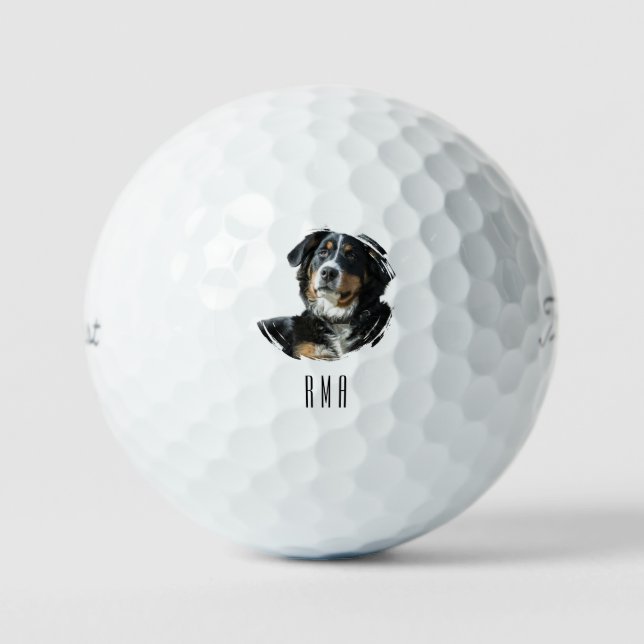 Bernese Mountain Dog Golf Balls (Front)