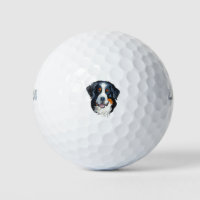 Bernese Mountain Dog