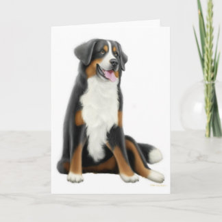 Bernese Mountain Dog Greeting Card