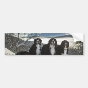 bernese mountain dog group   bumper sticker
