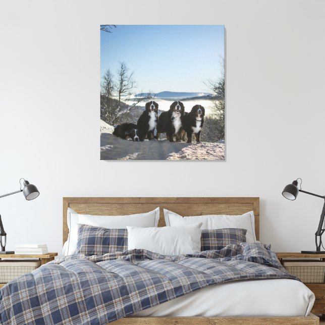 bernese mountain dog group   canvas print (Insitu(Bedroom))