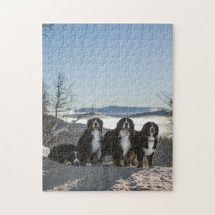 bernese mountain dog group jigsaw puzzle