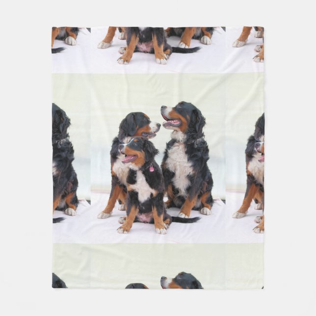 bernese-mountain-dog group sitting fleece blanket (Front)