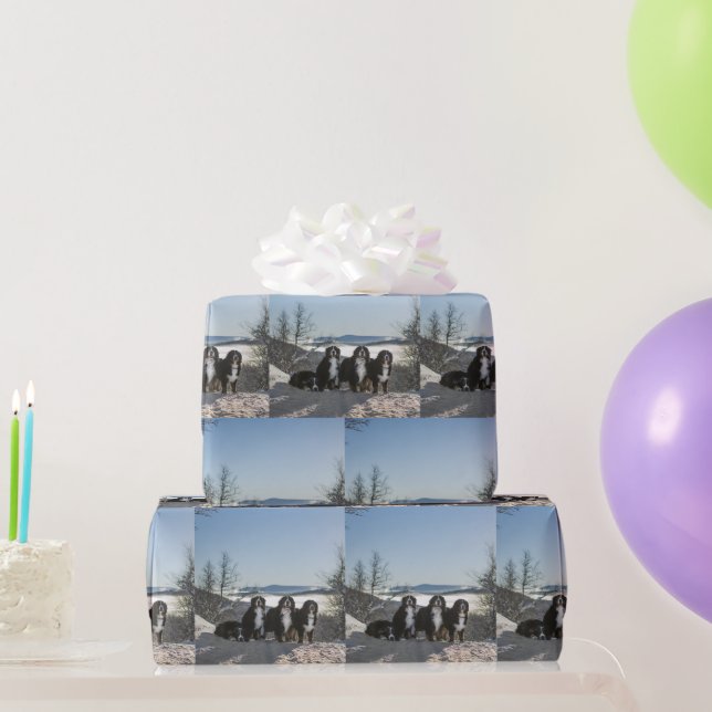 bernese mountain dog group   wrapping paper (Party Gifts)