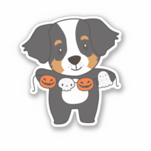 Bernese Mountain Dog Happy Halloween Dog Costume Sticker