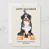 Bernese Mountain Dog Happy Halloween Holiday Card (Front)