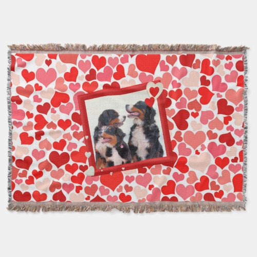 Bernese Mountain dog Heart Throw Blanket