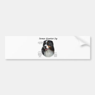 Bernese Mountain Dog History; All About Berners Bumper Sticker