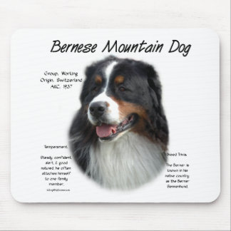 Bernese Mountain Dog History; All About Berners Mouse Pad