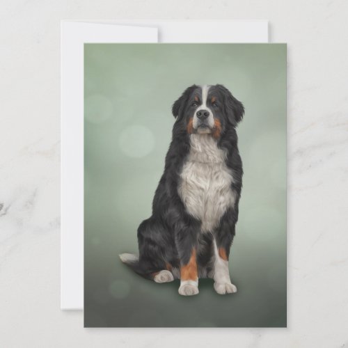 Bernese Mountain Dog Holiday Card