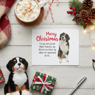Bernese Mountain Dog Holiday Card