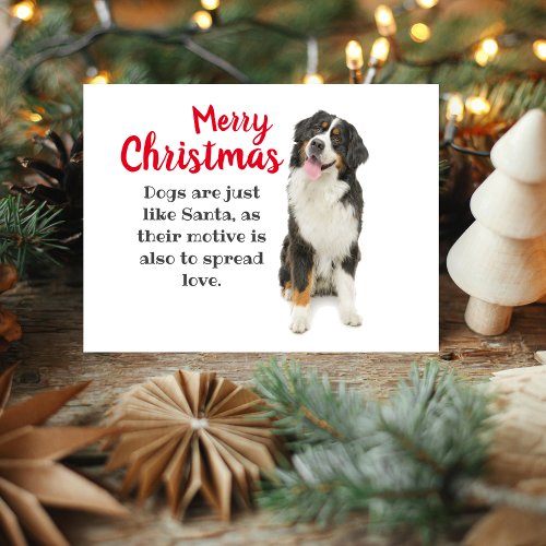 Bernese Mountain Dog Holiday Card