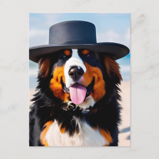 Bernese Mountain Dog in a Hat Postcard (Front)