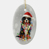 https://rlv.zcache.com/bernese_mountain_dog_in_christmas_lights_ceramic_ornament-rf9eaf54fe38e451fb1393ecb0600fc37_05wj5_8byvr_200.jpg