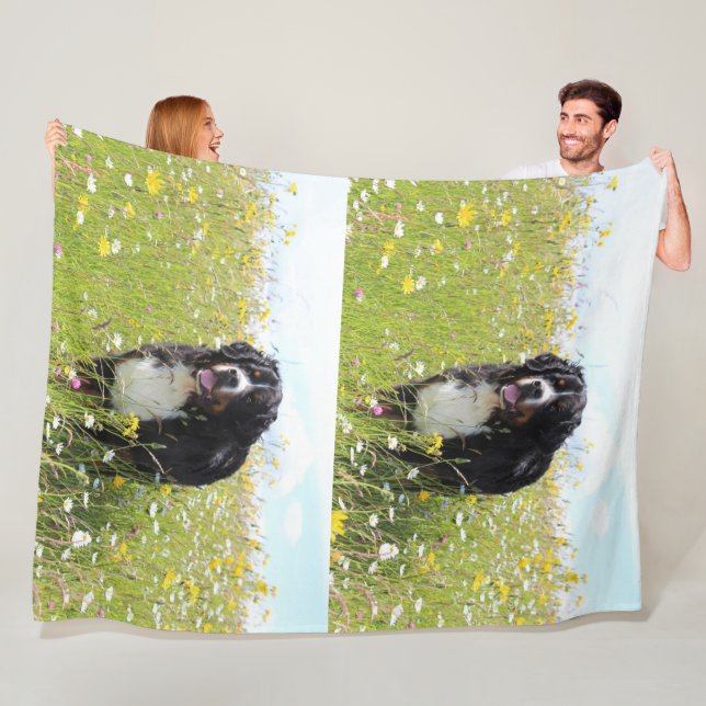bernese mountain dog in field fleece blanket (In Situ)