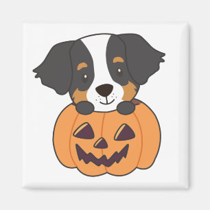 Bernese Mountain Dog In Pumpkin Dogs Happy Magnet