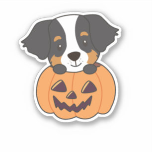 Bernese Mountain Dog In Pumpkin Dogs Happy Sticker