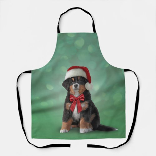 Bernese Mountain Dog in red hat of Santa  Apron