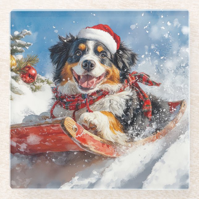 Bernese Mountain Dog in Sledge Christmas Glass Coaster (Front)