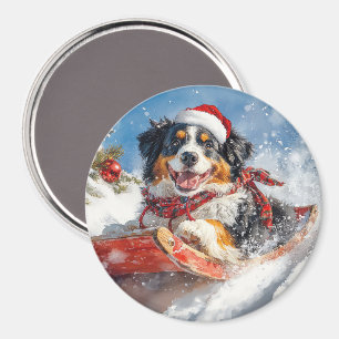 Bernese Mountain Dog in Sledge Christmas Magnet