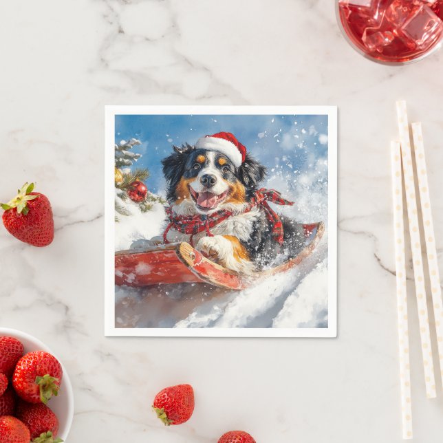 Bernese Mountain Dog in Sledge Christmas Napkins (Insitu)