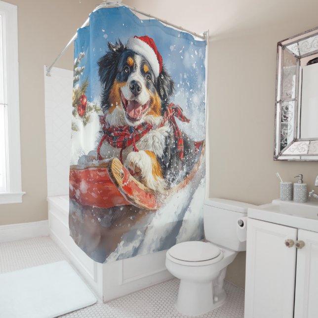 Bernese Mountain Dog in Sledge Christmas Shower Curtain (In Situ)