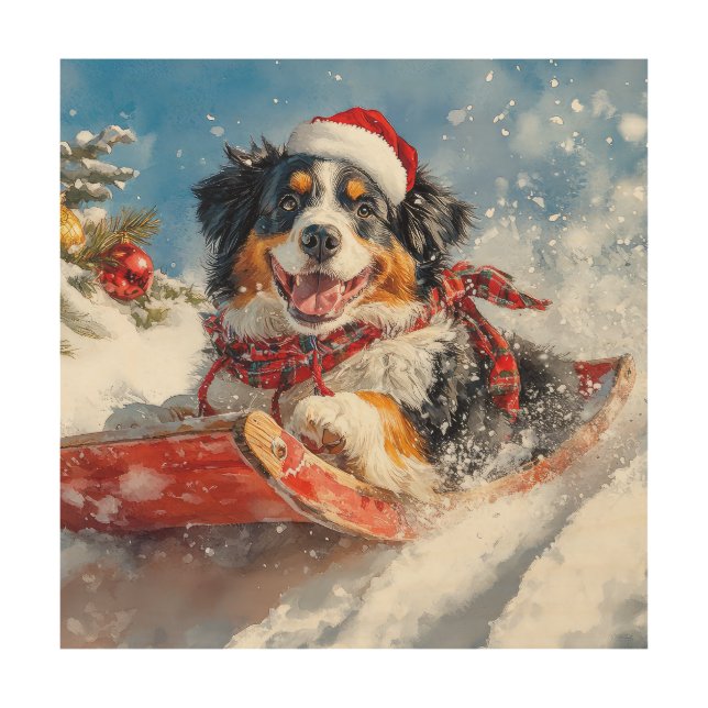 Bernese Mountain Dog in Sledge Christmas Wood Wall Art (Front)