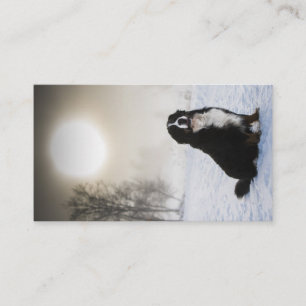 bernese mountain dog in snow business card