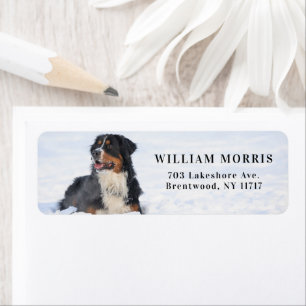 Bernese Mountain Dog in Snow Return Address Label