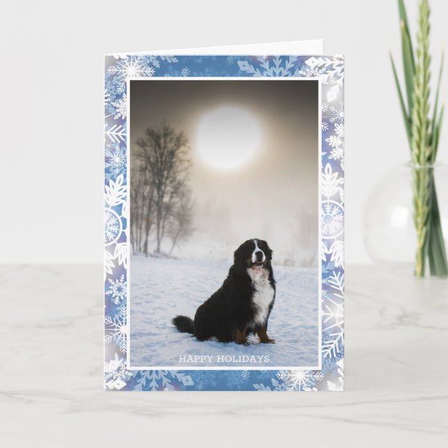 Bernese Mountain Dog In Snow Winter View Photo Holiday Card (Front)
