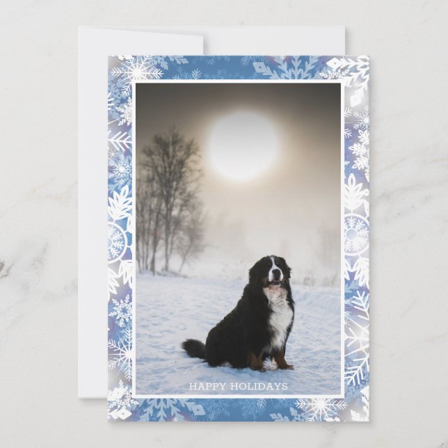 Bernese Mountain Dog In Snow Winter View Photo Holiday Card (Front)